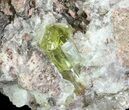 Apatite Crystals with Quartz - Durango, Mexico #64018-2
